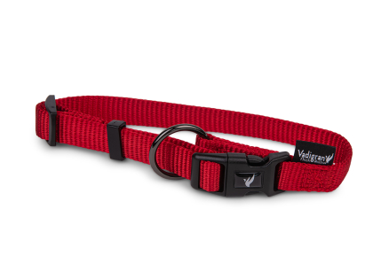 Collar Classic Nylon red 14-21cmx10mm XS