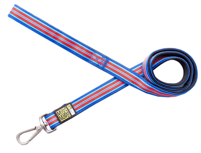 Leash Hampton Strip Blue XS 10mmx120cm