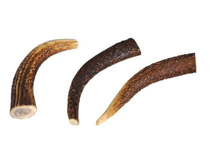 Deer antler L 75-149g bulk