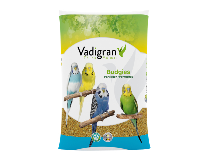 Budgies Basic