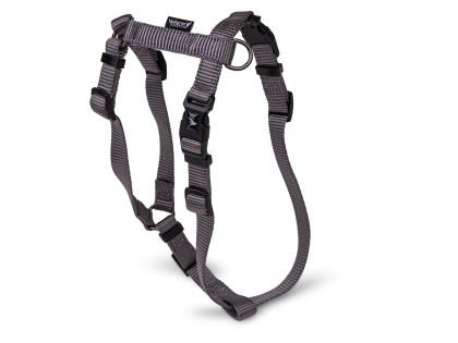 H-Harness Classic Nylon taupe 56-77cmx25mm L