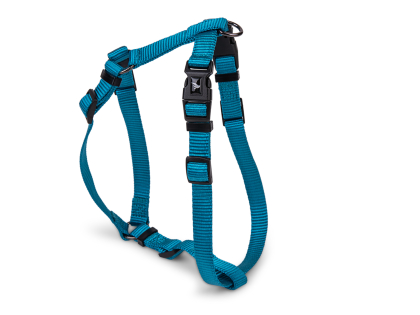 H-Harness Classic Nylon turquoise 56-77cmx25mm L