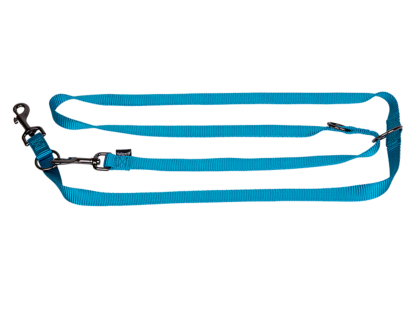Adjustable leash Classic turquoise200cmx20mm L