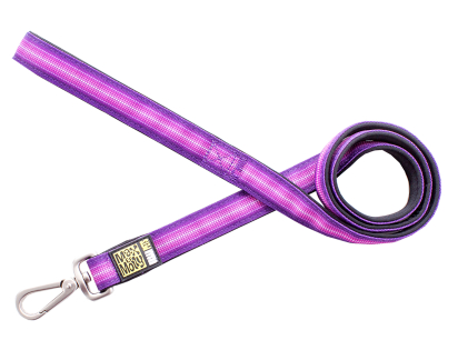 Leash Booster Purple