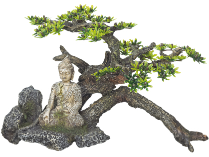 Aqua Deco Bouddha avec plante