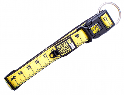 Collar Ruler S 15mmx28-45cm