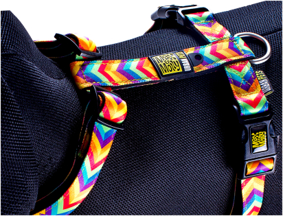 Harness Summertime