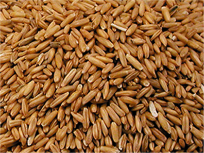 Oat peeled 20 kg