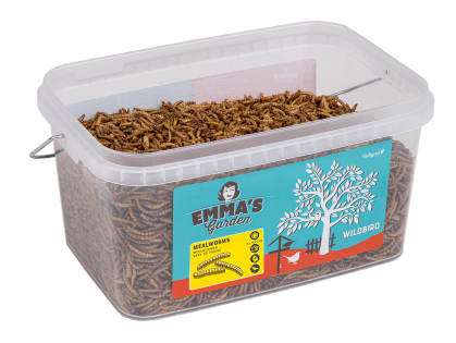 Emma Mealworms