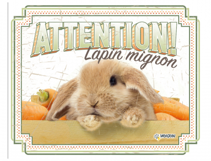 Warning sign rabbit