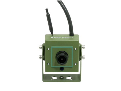 Green Feathers Wifi Bird Box camera