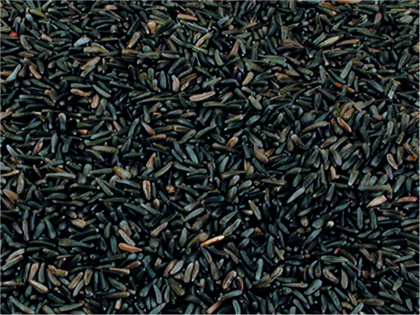 Niger seeds 17,5 Kg