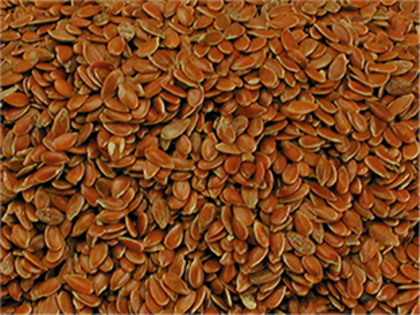 Linseed 20 kg