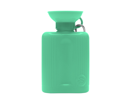 Bouteille de voyage Growler verte 1,3 L