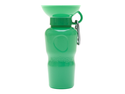 Bouteille de voyage Classic verte 0,65 L