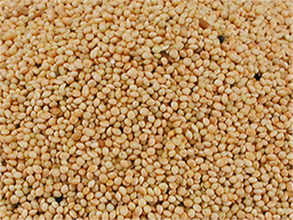 Millet round white 4 kg