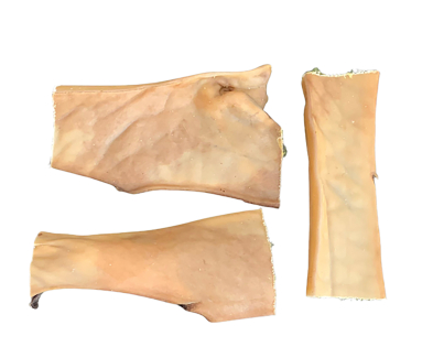 Peau de tête de bœuf naturelle 15cm vr o