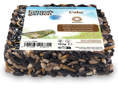 Emma cake graines & vers de farine
