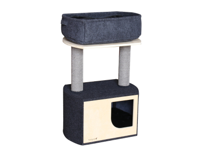 Cat Climber Urban Beamy