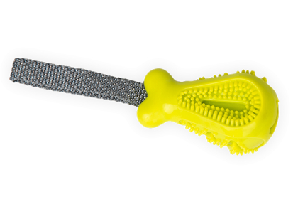 Dental snack toy green