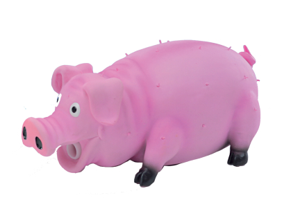 Cochon humoristique