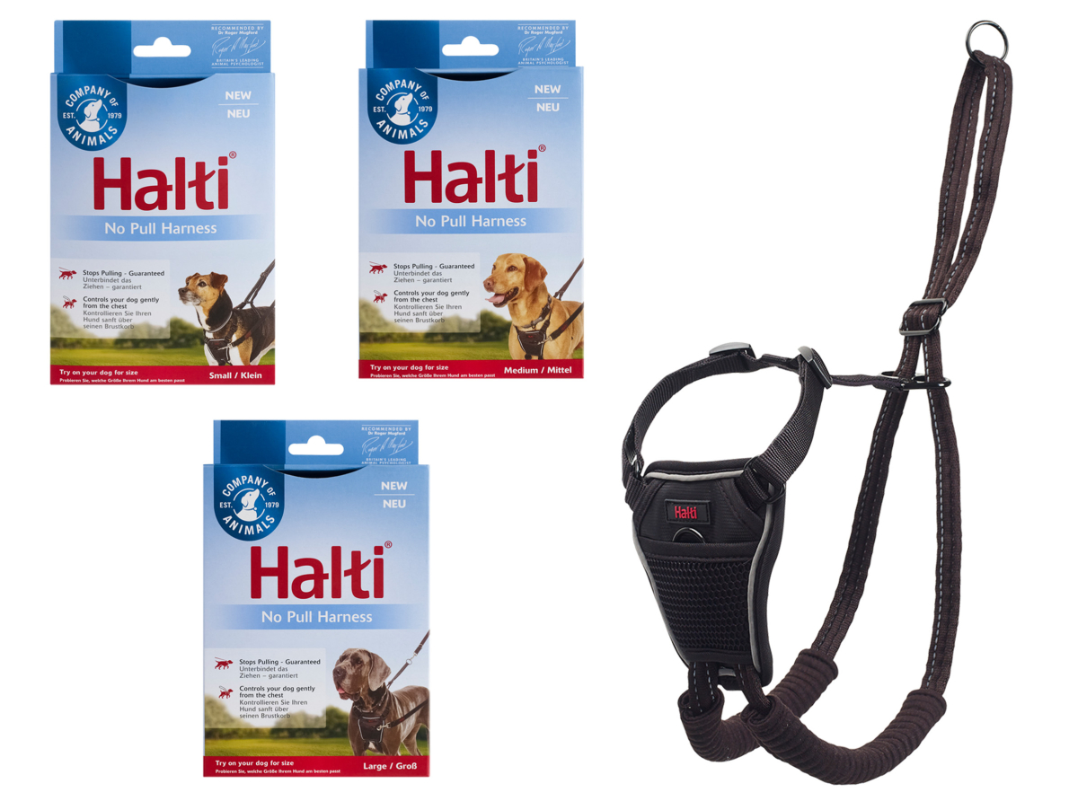 Halti no pull harness instructions shop