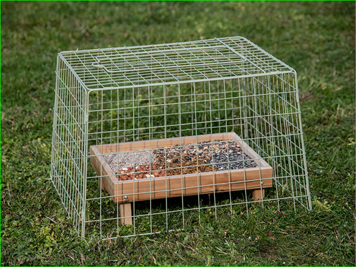 小物 WILD SWANS GROUNDER Varia - Varia - Wild birds Emma's GardenGround feeder Guardian