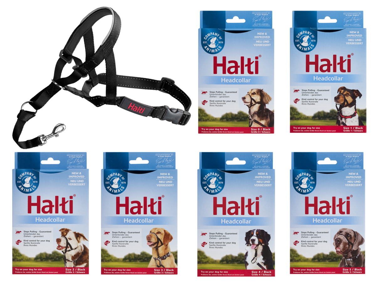 Training and tracking lead Training DogHALTI Headcollar black 1 Vadigran