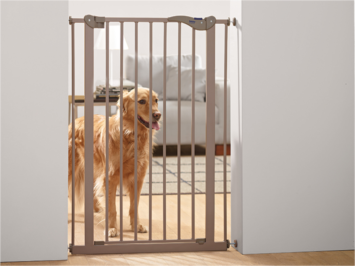 Barrières et Portes - Accessoires pour la maison - ChienBarrière chien Door  min75/max 84x107cm - Vadigran