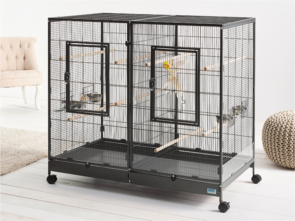Cage classique sur pied - Cage à oiseaux - En métal - 120,5 cm de hauteur