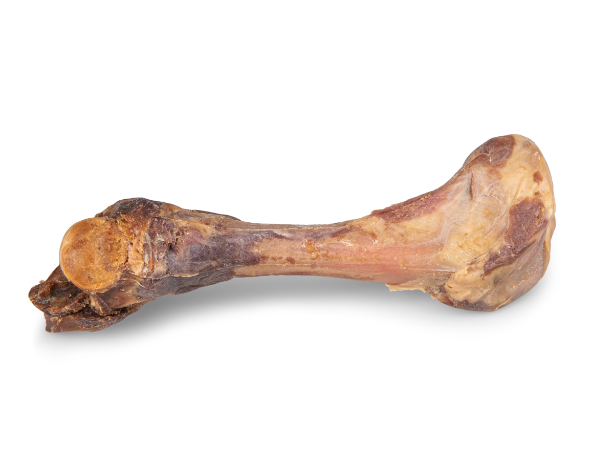 ham bones good for dogs