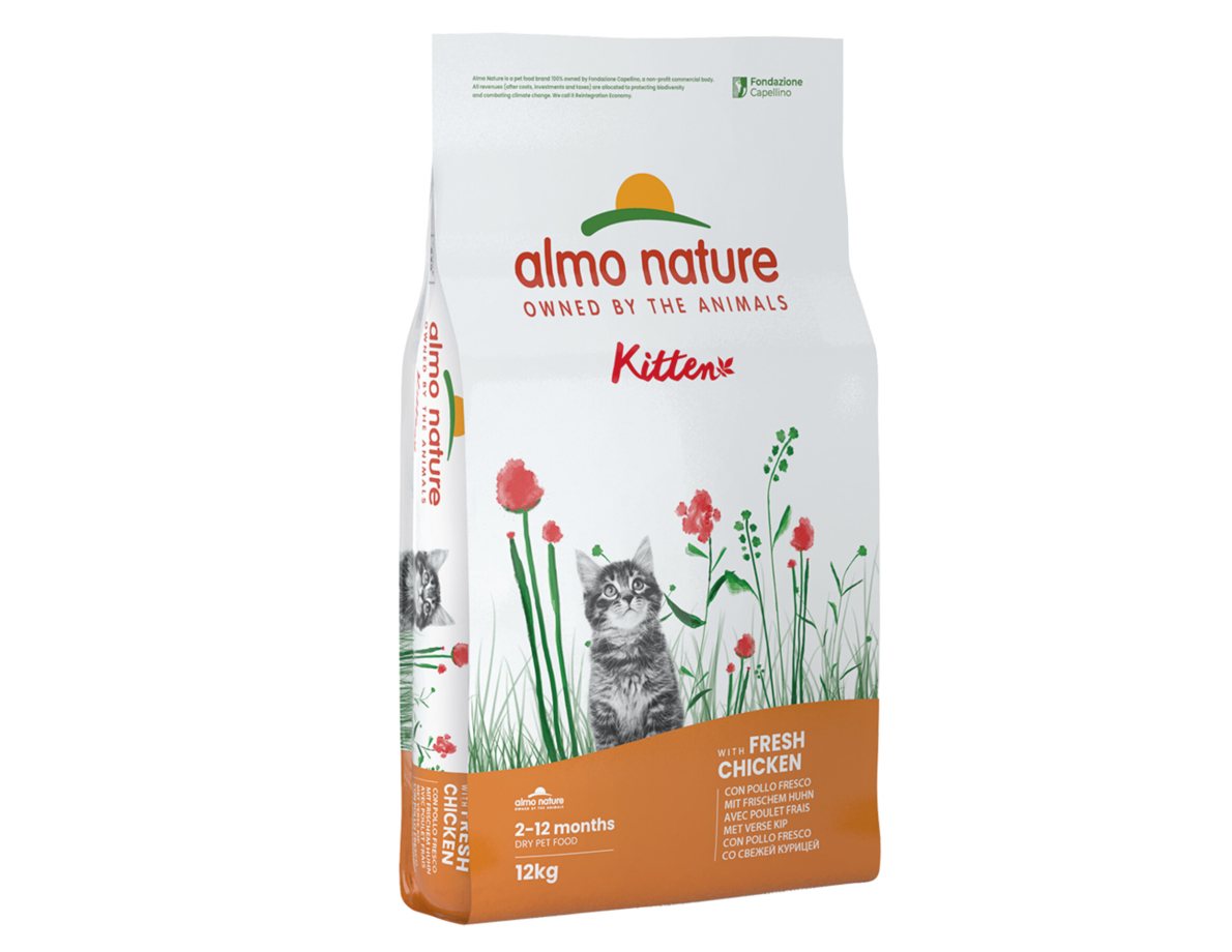 almo kitten food
