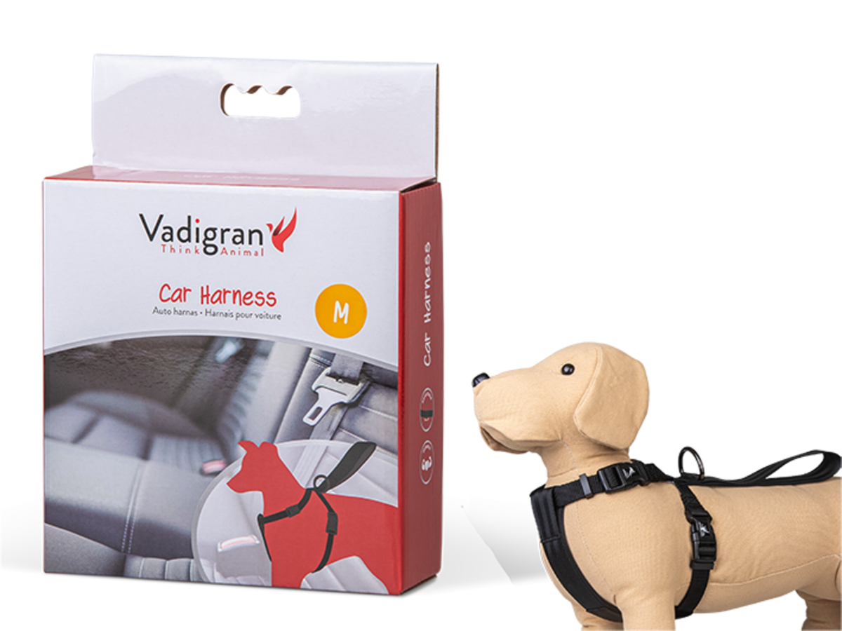 Accessoires de transport - Transport - ChienCeinture de sécurité chien Clix  Car Safe S - Vadigran