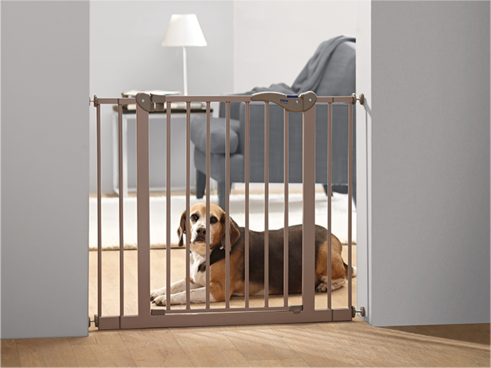 Barrières et Portes Accessoires pour la maison ChienDog Barrier