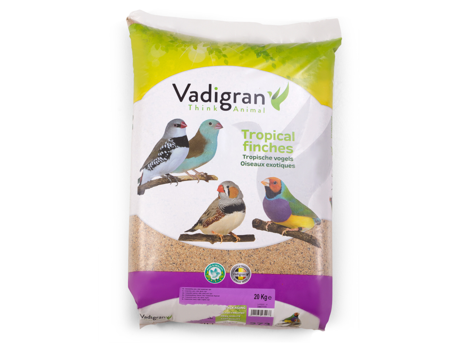 Graines De Niger Pour Oiseaux Sauvages BusyBeaks - 5 Kg - Haute énergie, Riche En Protéines - Attire Pinsons, Chardonnerets, Verdiers