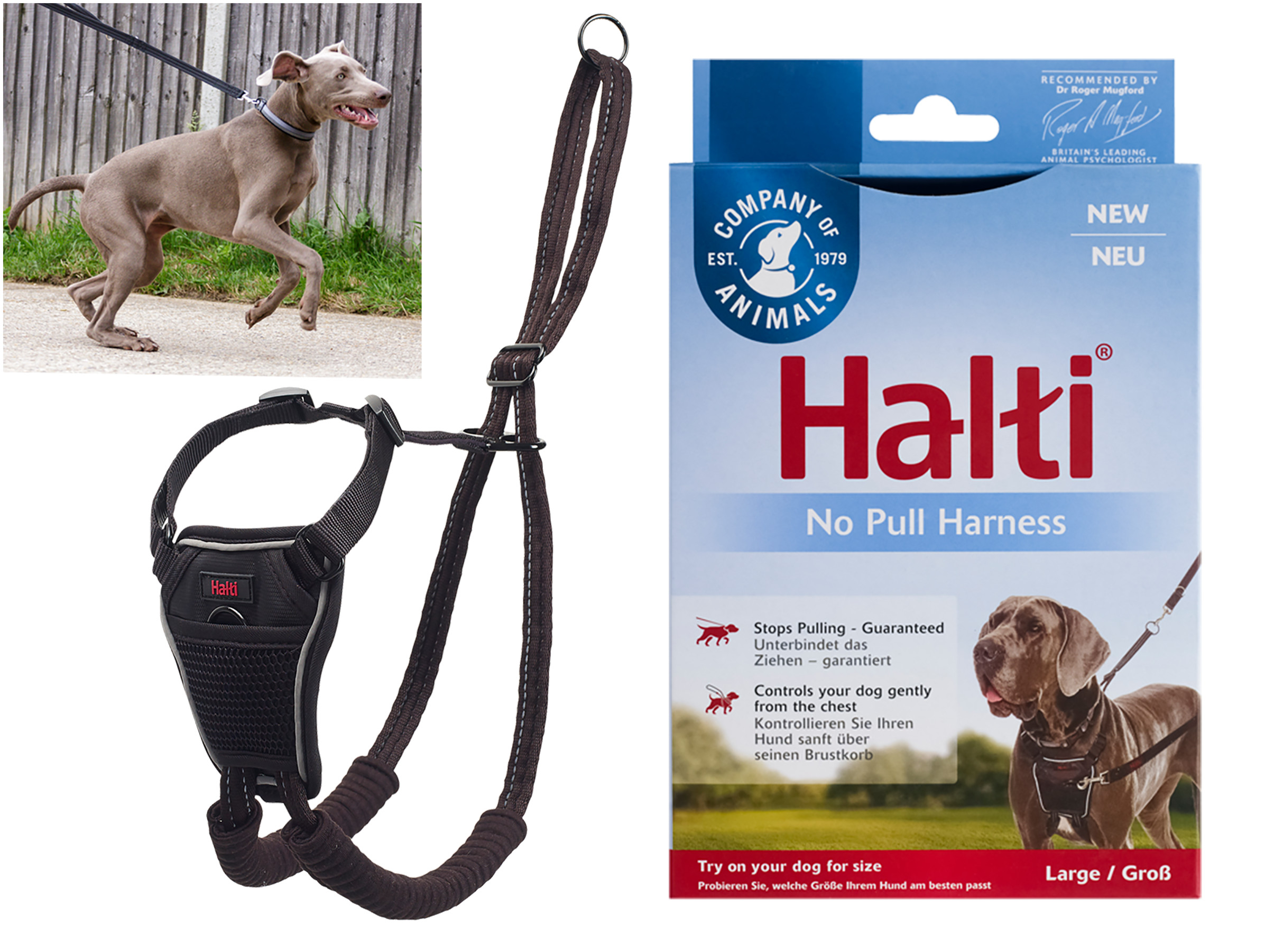 steekpenningen munitie Great Barrier Reef Training and tracking lead - Training - DogHALTI No Pull Harness black L -  Vadigran