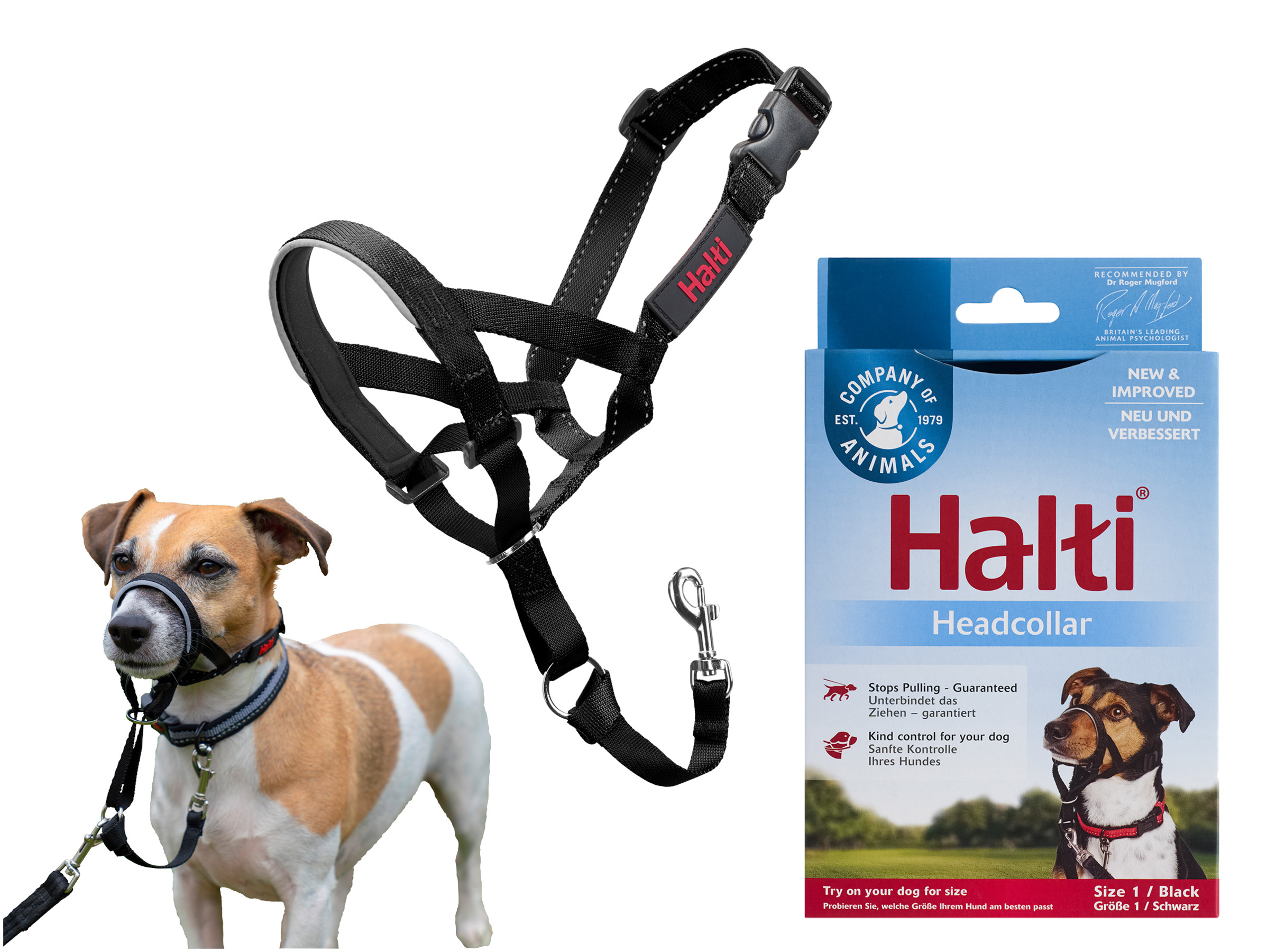 Black dog on sale halti