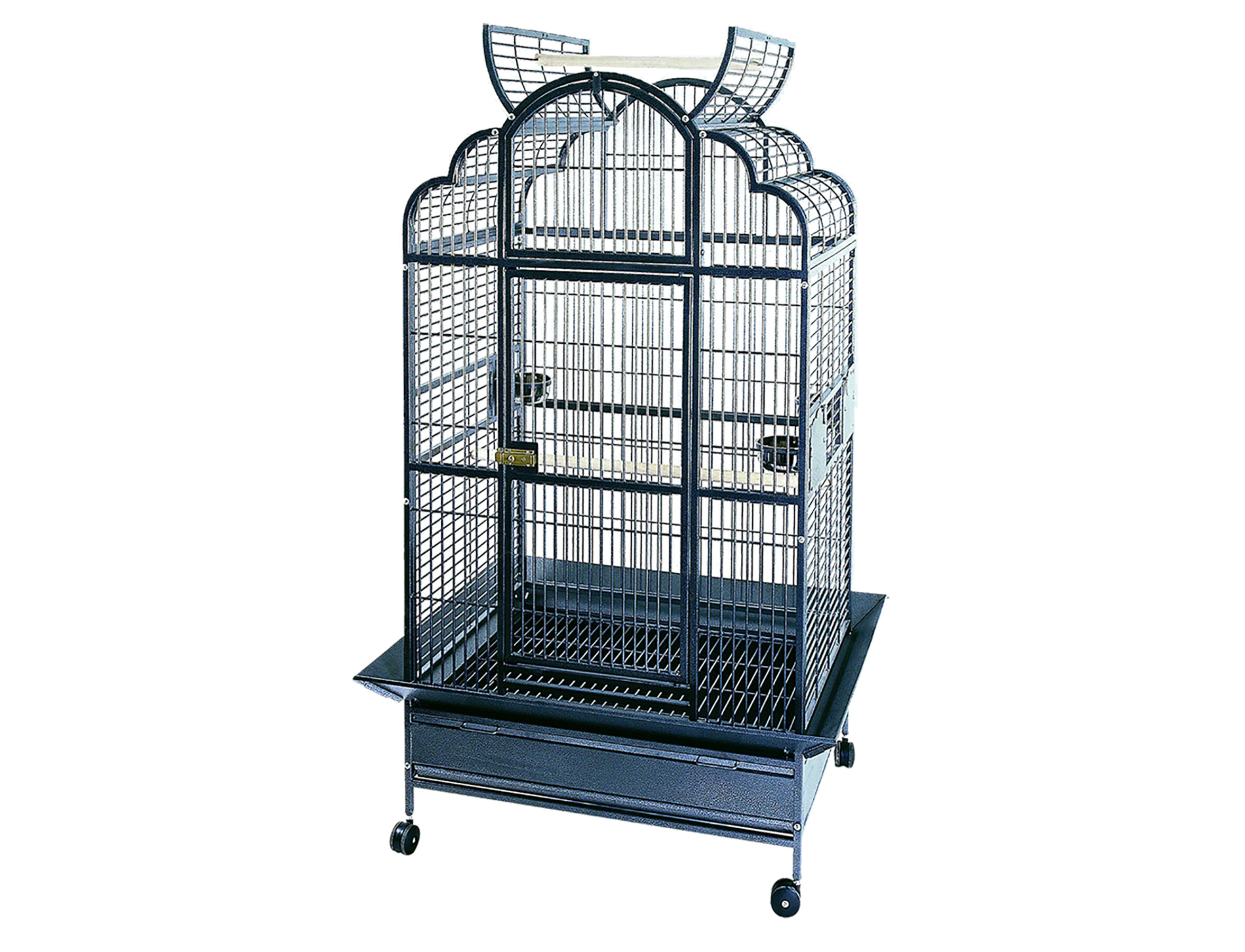 Volwassenheid helling Verlaten Binnenkooien voor haaksnavelvogels - Kooien & Volières - VogelsKooi papegaai Emperor (2 Boxes) - Vadigran Volwassenheid helling Verlaten Binnenkooien voor haaksnavelvogels - Kooien & Volières - VogelsKooi papegaai Emperor (2 Boxes) - Vadigran