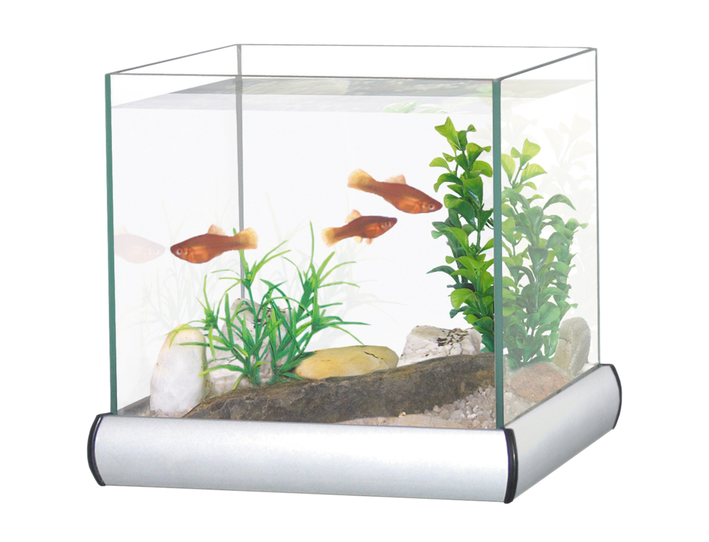 Aquariums Aquariums & Accessoires AquariophilieAquarium support Alu8L+1kg sable+1 plte