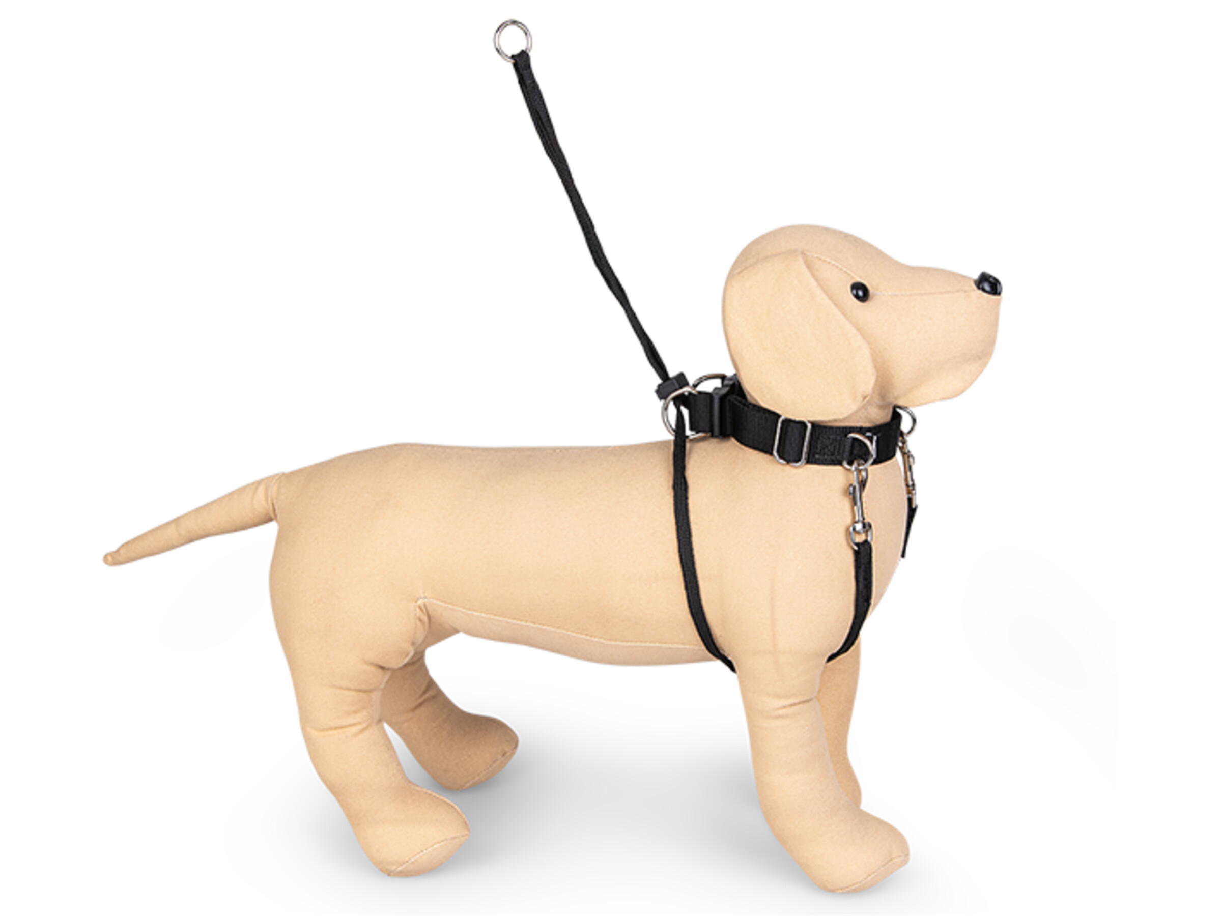 Black dog tracking harness online