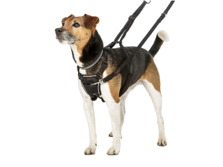 Herenhuis Occlusie medaillewinnaar Training and tracking lead - Training - DogHALTI No Pull Harness black S -  Vadigran