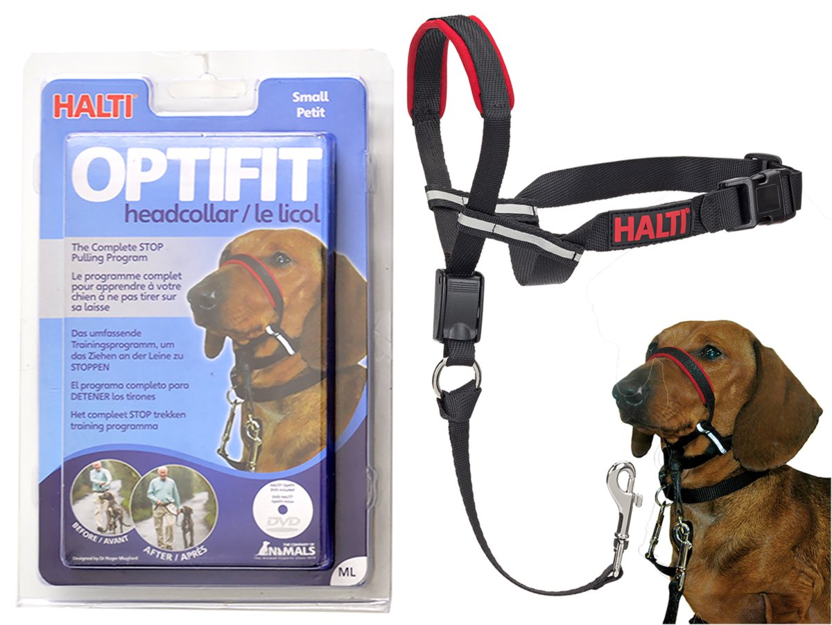 Colpet deals shock collar