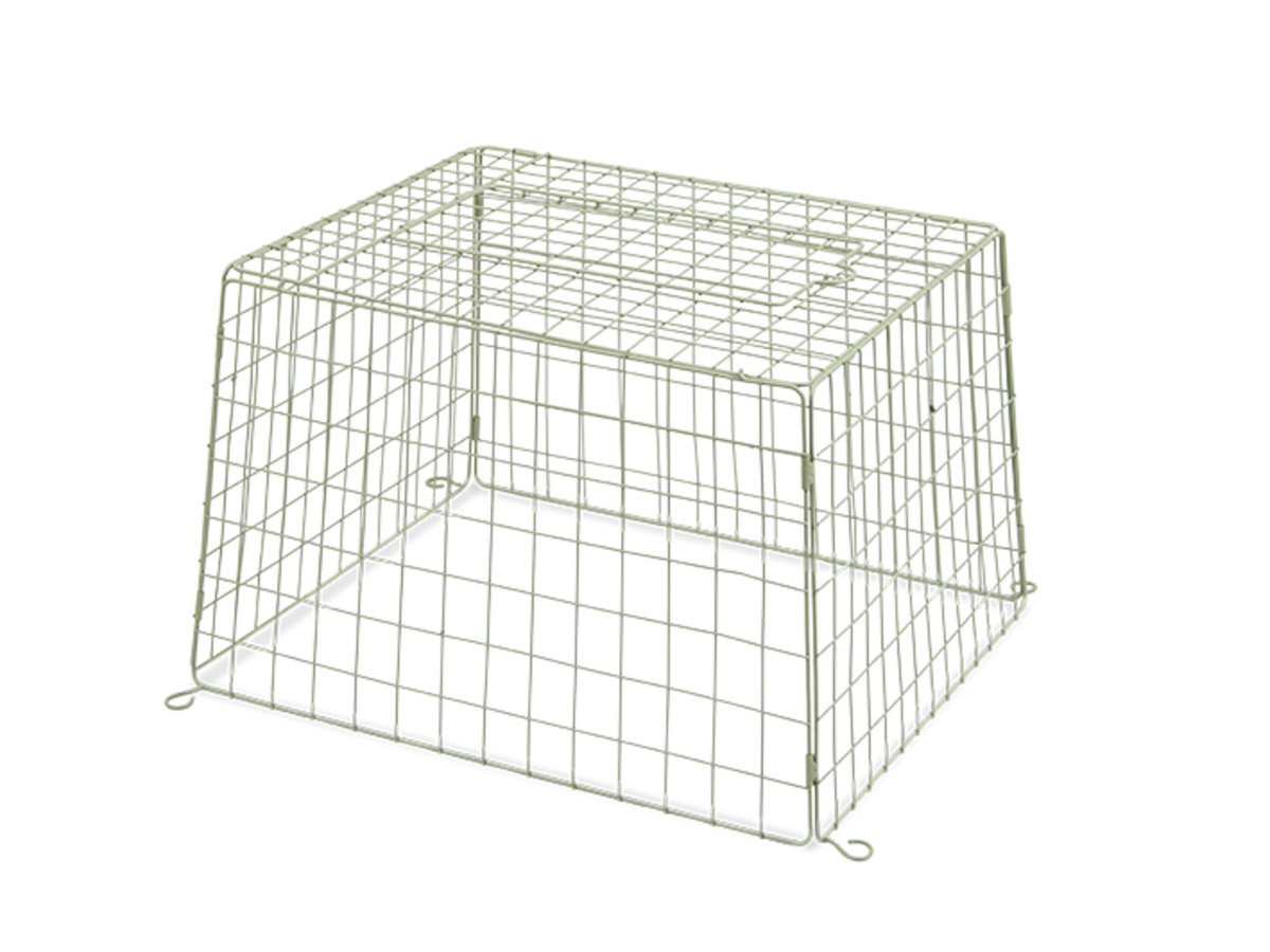小物 WILD SWANS GROUNDER Amazon.com : Kingsyard Ground Bird Feeder for Outdoors